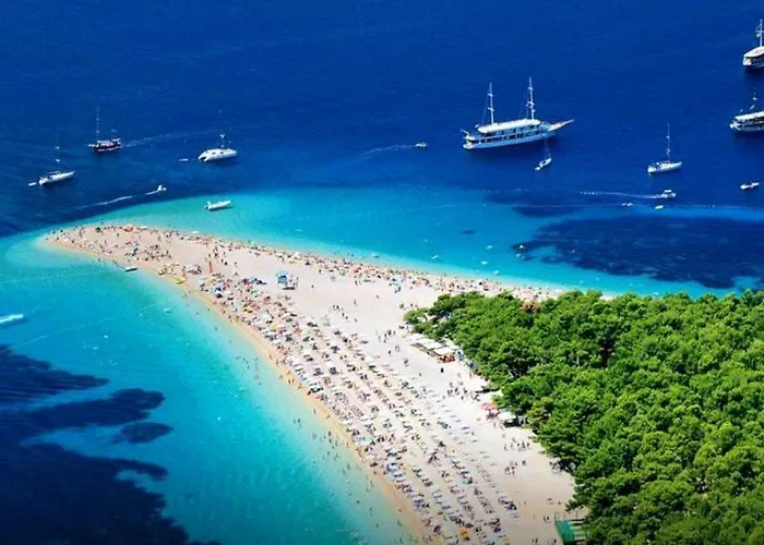 Soljacic *